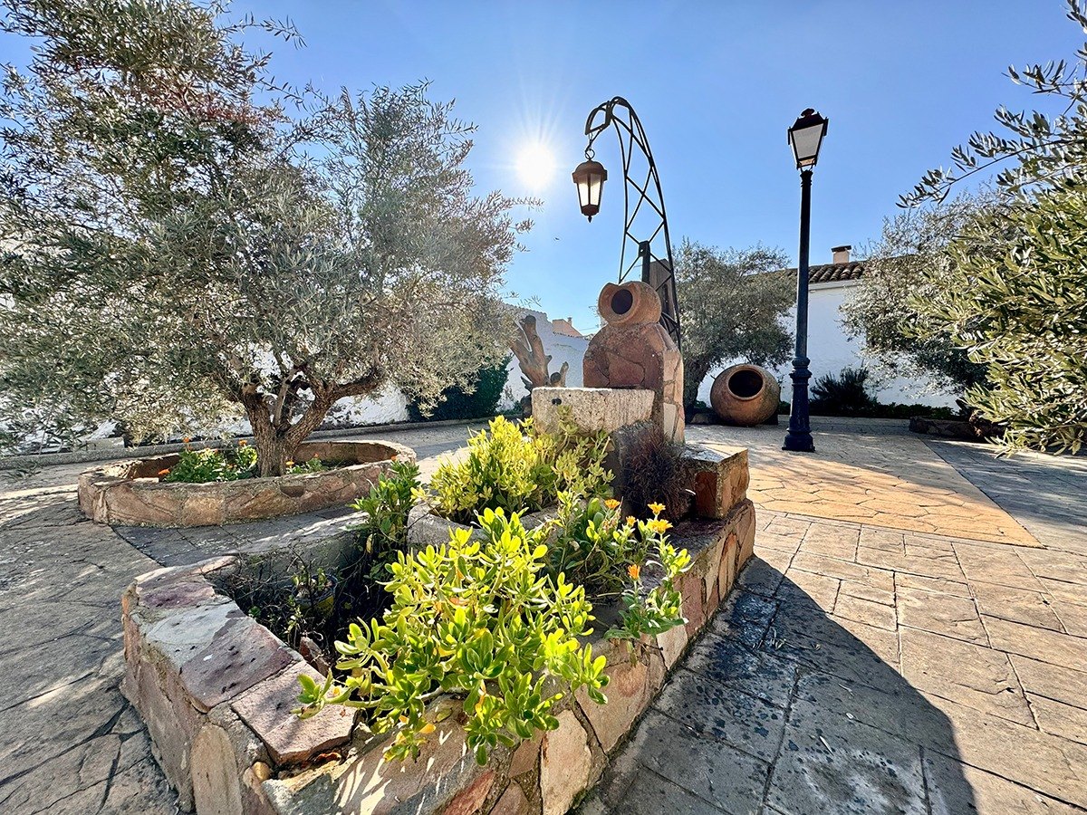 Patio exterior con olivos y fuente en Las Grullas Casa Rural